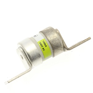 100AMP 240V AC BS88 FUSE